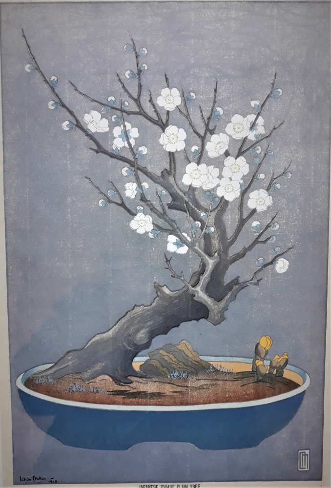 Japanese Dwarf Plum Tree B (gray background), 1928, gravure sur bois (36,1 x 24,1 cm). Coll. J.D.