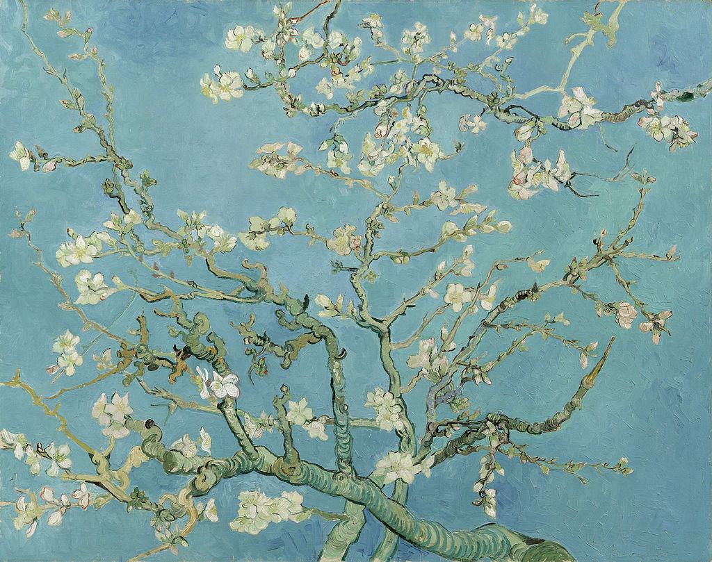 Vincent Van Gogh, Amandiers en fleurs, 1890